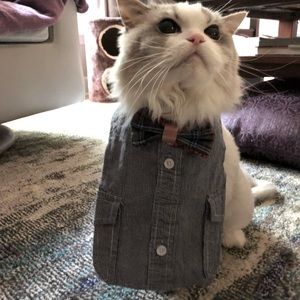 Meet your Posher, Posh